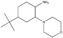4-tert-butyl-2-morpholin-4-ylcyclohexanamine