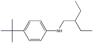 4-tert-butyl-N-(2-ethylbutyl)aniline