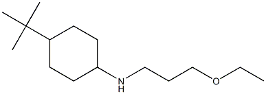 4-tert-butyl-N-(3-ethoxypropyl)cyclohexan-1-amine Structure