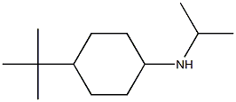 4-tert-butyl-N-(propan-2-yl)cyclohexan-1-amine Structure