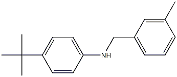 4-tert-butyl-N-[(3-methylphenyl)methyl]aniline