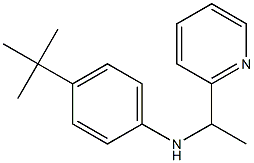 4-tert-butyl-N-[1-(pyridin-2-yl)ethyl]aniline