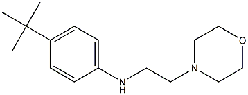 4-tert-butyl-N-[2-(morpholin-4-yl)ethyl]aniline