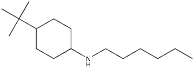 4-tert-butyl-N-hexylcyclohexan-1-amine Struktur