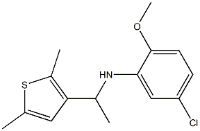 5-chloro-N-[1-(2,5-dimethylthiophen-3-yl)ethyl]-2-methoxyaniline,,结构式