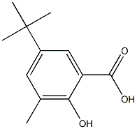 5-tert-butyl-2-hydroxy-3-methylbenzoic acid 化学構造式