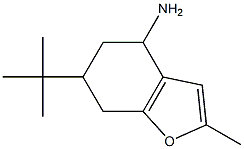 6-tert-butyl-2-methyl-4,5,6,7-tetrahydro-1-benzofuran-4-amine