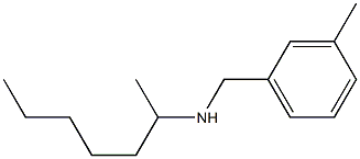heptan-2-yl[(3-methylphenyl)methyl]amine|
