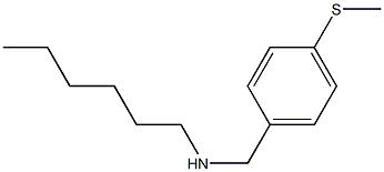 hexyl({[4-(methylsulfanyl)phenyl]methyl})amine 结构式