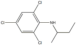 N-(butan-2-yl)-2,4,6-trichloroaniline,,结构式