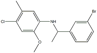  N-[1-(3-bromophenyl)ethyl]-4-chloro-2-methoxy-5-methylaniline