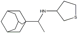 N-[1-(adamantan-1-yl)ethyl]thiolan-3-amine