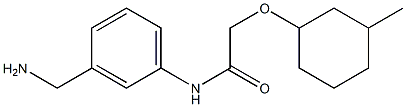 N-[3-(aminomethyl)phenyl]-2-[(3-methylcyclohexyl)oxy]acetamide