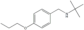 tert-butyl[(4-propoxyphenyl)methyl]amine Struktur
