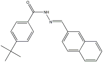 4-(tert-butyl)-N'-[(E)-2-naphthylmethylidene]benzohydrazide