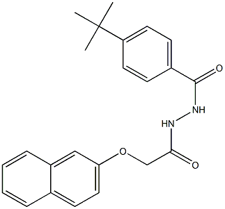 4-(tert-butyl)-N'-[2-(2-naphthyloxy)acetyl]benzohydrazide Struktur