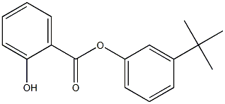 Salicylic acid 3-tert-butylphenyl ester Struktur