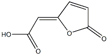 (2Z)-5-Oxo-2,5-dihydrofuran-2-ylideneacetic acid Struktur