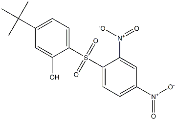 5-tert-Butyl-2-[(2,4-dinitrophenyl)sulfonyl]phenol Structure