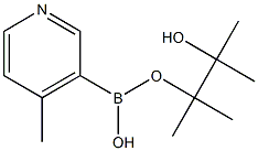 4-Methylpyridine-3-boronic acid pinacol ester Structure