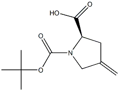 (2R)-1-(tert-butoxycarbonyl)-4-methylenepyr rolidine-2-carboxylic acid Struktur