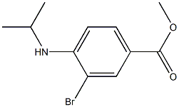 3-溴-4-(异丙基氨基)苯甲酸甲酯 结构式