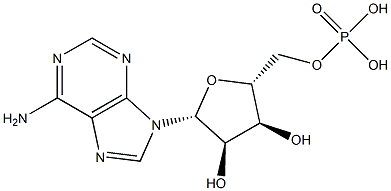 Adenosine phosphate|腺苷磷酸盐