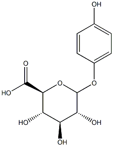 PARA-HYDROXYPHENYLGLUCURONIDE Struktur