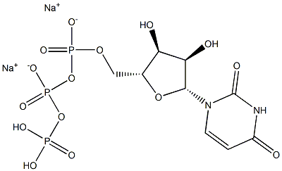 Uridine-5'-triphosphate disodium salt 化学構造式