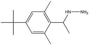 1-(1-(4-tert-butyl-2,6-dimethylphenyl)ethyl)hydrazine 化学構造式
