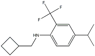 N-(cyclobutylmethyl)-2-(trifluoromethyl)-4-isopropylbenzenamine Structure
