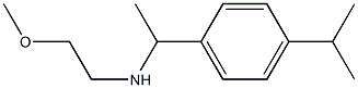 (2-methoxyethyl)({1-[4-(propan-2-yl)phenyl]ethyl})amine