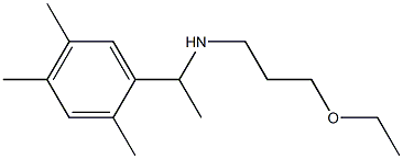 (3-ethoxypropyl)[1-(2,4,5-trimethylphenyl)ethyl]amine