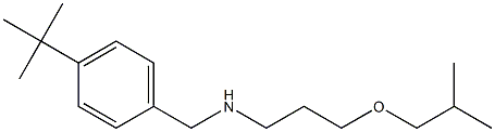[(4-tert-butylphenyl)methyl][3-(2-methylpropoxy)propyl]amine Structure