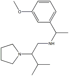 [1-(3-methoxyphenyl)ethyl][3-methyl-2-(pyrrolidin-1-yl)butyl]amine Struktur