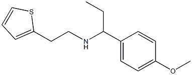 [1-(4-methoxyphenyl)propyl][2-(thiophen-2-yl)ethyl]amine Structure