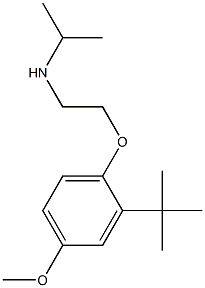 [2-(2-tert-butyl-4-methoxyphenoxy)ethyl](propan-2-yl)amine Structure