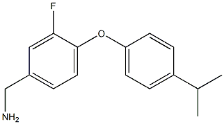 {3-fluoro-4-[4-(propan-2-yl)phenoxy]phenyl}methanamine|