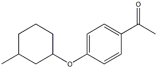 1-{4-[(3-methylcyclohexyl)oxy]phenyl}ethan-1-one Struktur