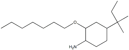 2-(heptyloxy)-4-(2-methylbutan-2-yl)cyclohexan-1-amine 结构式