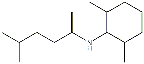 2,6-dimethyl-N-(5-methylhexan-2-yl)cyclohexan-1-amine