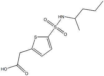 2-[5-(pentan-2-ylsulfamoyl)thiophen-2-yl]acetic acid 化学構造式