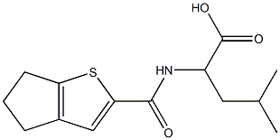 2-{4H,5H,6H-cyclopenta[b]thiophen-2-ylformamido}-4-methylpentanoic acid 结构式