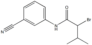 2-bromo-N-(3-cyanophenyl)-3-methylbutanamide Structure