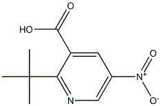 2-tert-butyl-5-nitropyridine-3-carboxylic acid Struktur