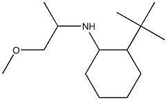 2-tert-butyl-N-(1-methoxypropan-2-yl)cyclohexan-1-amine Struktur