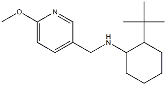 2-tert-butyl-N-[(6-methoxypyridin-3-yl)methyl]cyclohexan-1-amine Structure