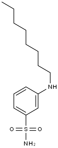 3-(octylamino)benzene-1-sulfonamide Structure