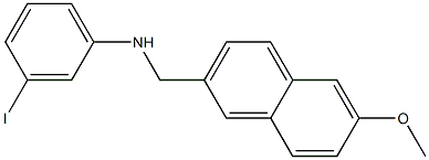 3-iodo-N-[(6-methoxynaphthalen-2-yl)methyl]aniline