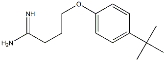 4-(4-tert-butylphenoxy)butanimidamide Structure